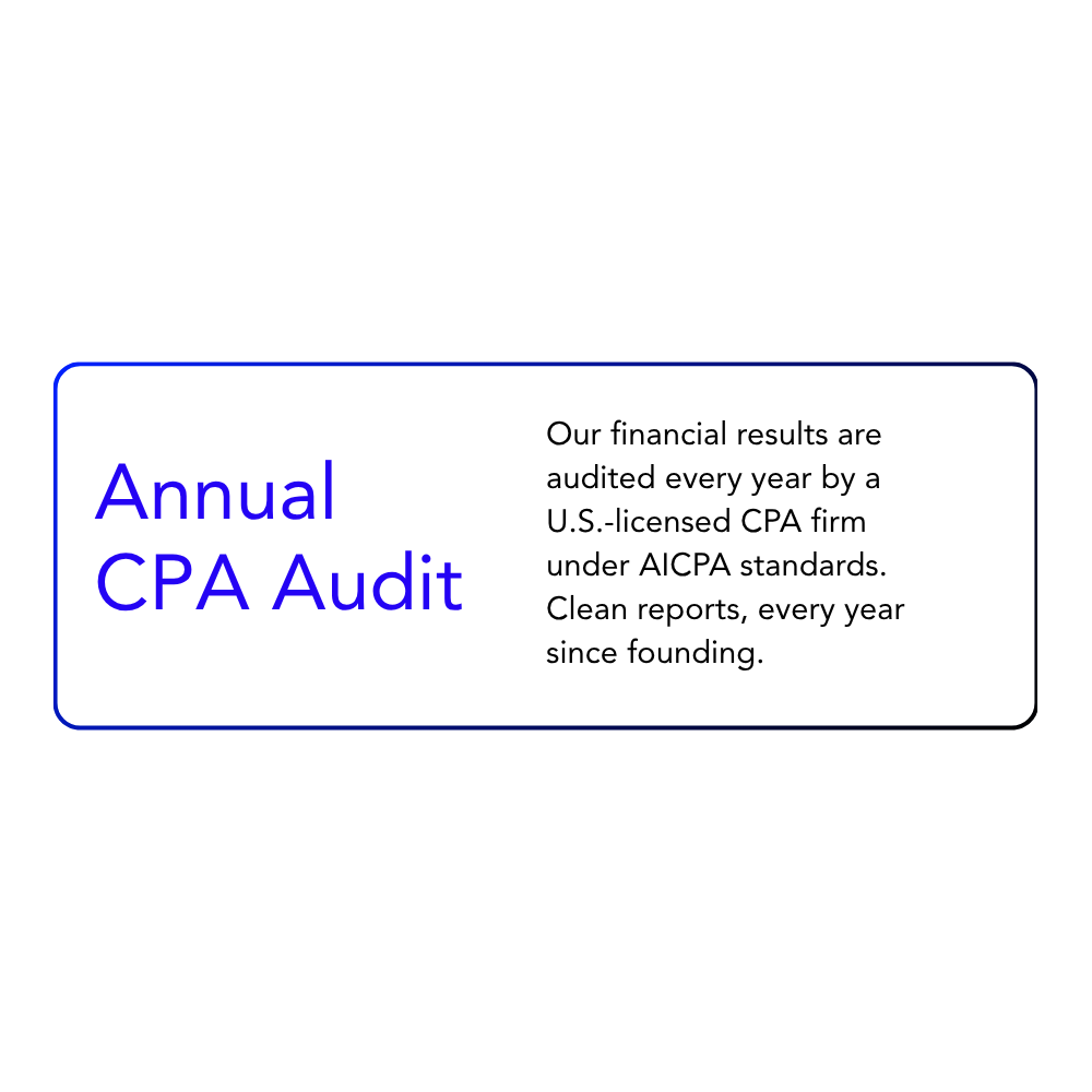 Annual CPA Audit